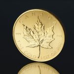 American Eagle Gold Coins: The Complete Beginner’s Guide 